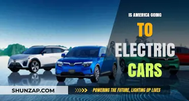America's Electric Shift: The Future of Cars on U.S. Roads