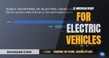 The Electric Revolution: Are Americans Ready to Go Green?