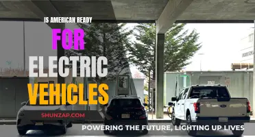 Electric Vehicles: America's Adoption and Readiness