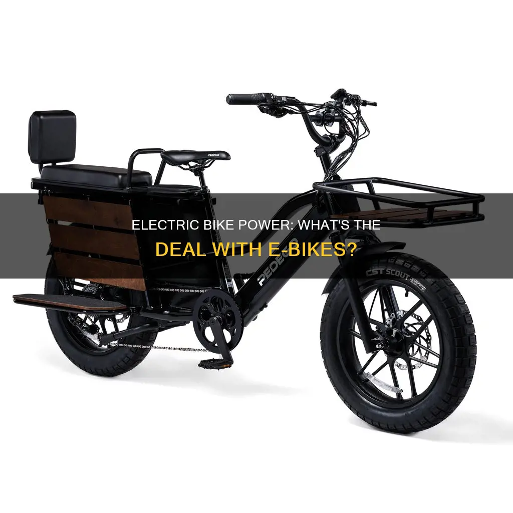 is an e bike electric