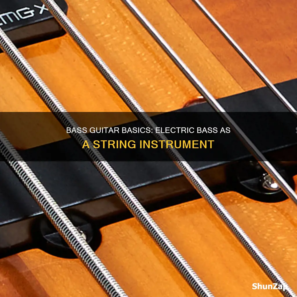 is an electric bass a string instrument