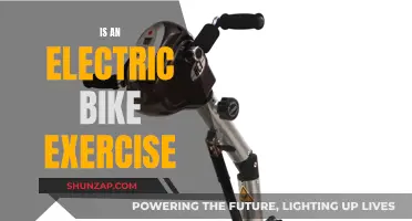 Electric Bikes: Exercise or Lazy Ride?