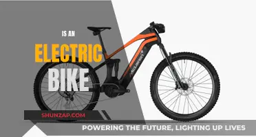 Electric Bike: The Future of Urban Commuting?