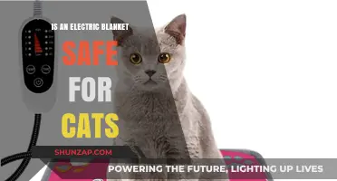 Electric Blankets: Are They Safe for Cats?