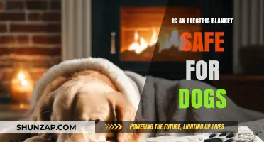 Electric Blankets: Safe or Harmful for Dogs?