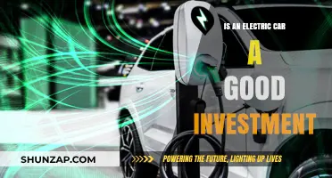 Electric Cars: Smart Investment or Costly Trend? Weighing the Pros and Cons