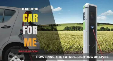 Should You Go Electric? Pros, Cons, and Practical Tips for Buyers