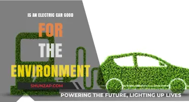 Electric Cars: Eco-Friendly Choice or Environmental Myth?
