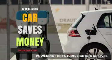 Electric Cars: Cost-Effective Choice or Expensive Trend?