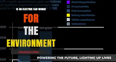 Electric Cars vs. Gas: Which is Worse for the Environment?