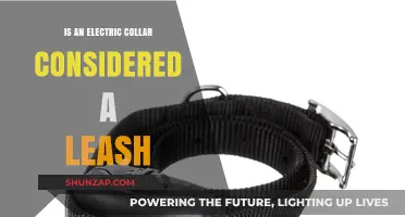 Electric Collars: Leashes or Not?
