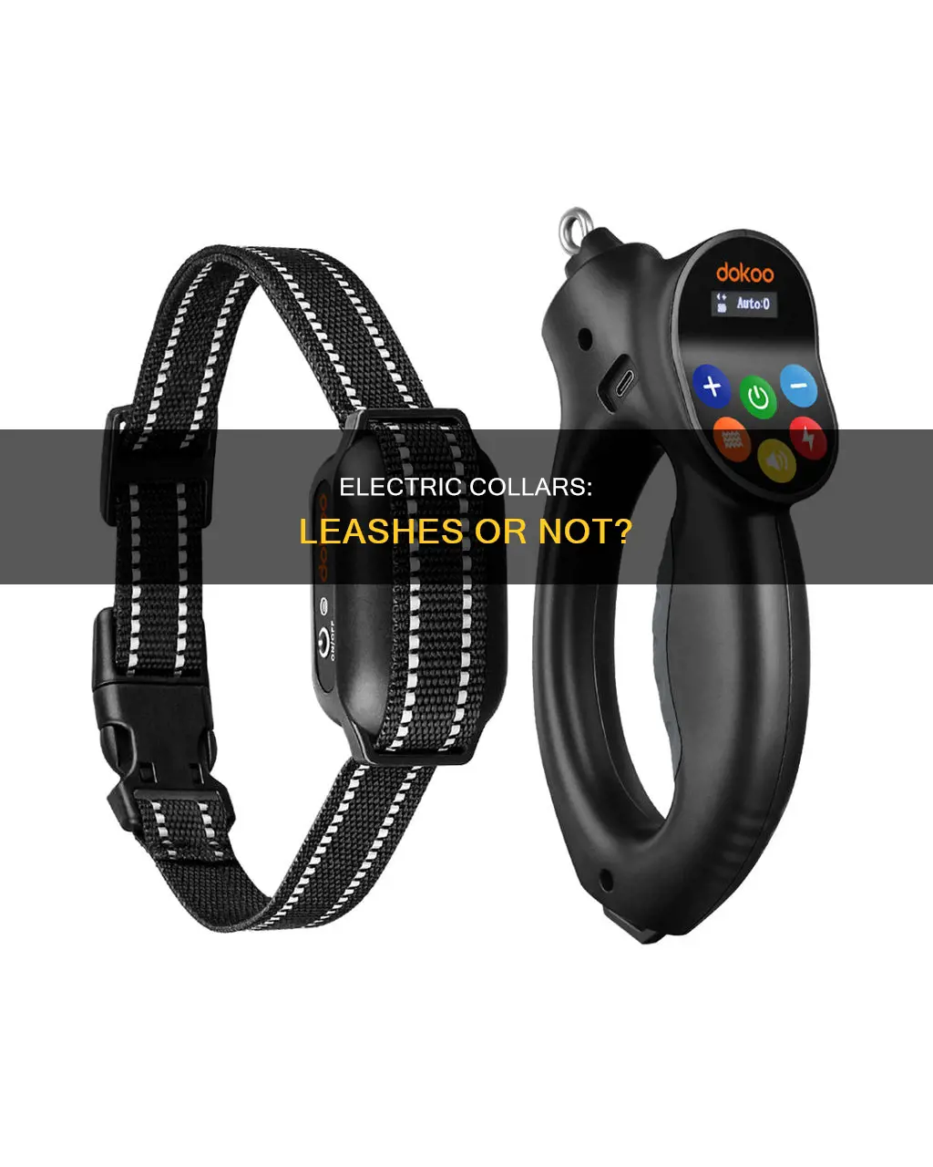 is an electric collar considered a leash