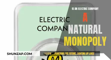 Electric Companies: Natural Monopolies?