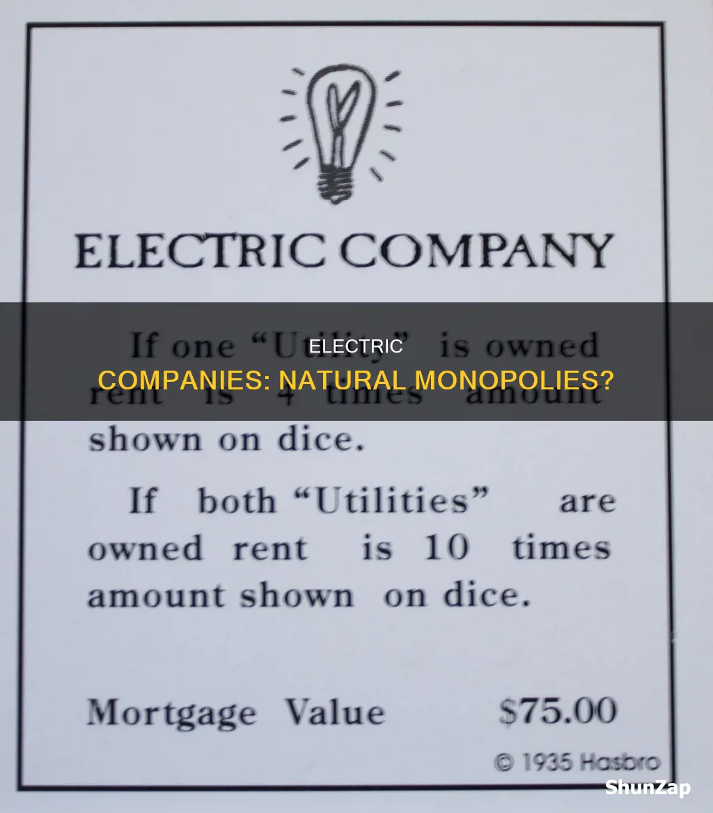 is an electric company a natural monopoly