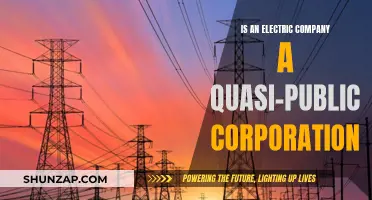 Electric Companies: Public or Private? Understanding Their Quasi-Nature