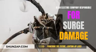 Electric Company's Liability for Surge Damage: Who Pays?