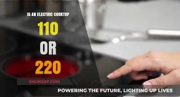 Electric Cooktops: 110 or 220 Voltage Options?