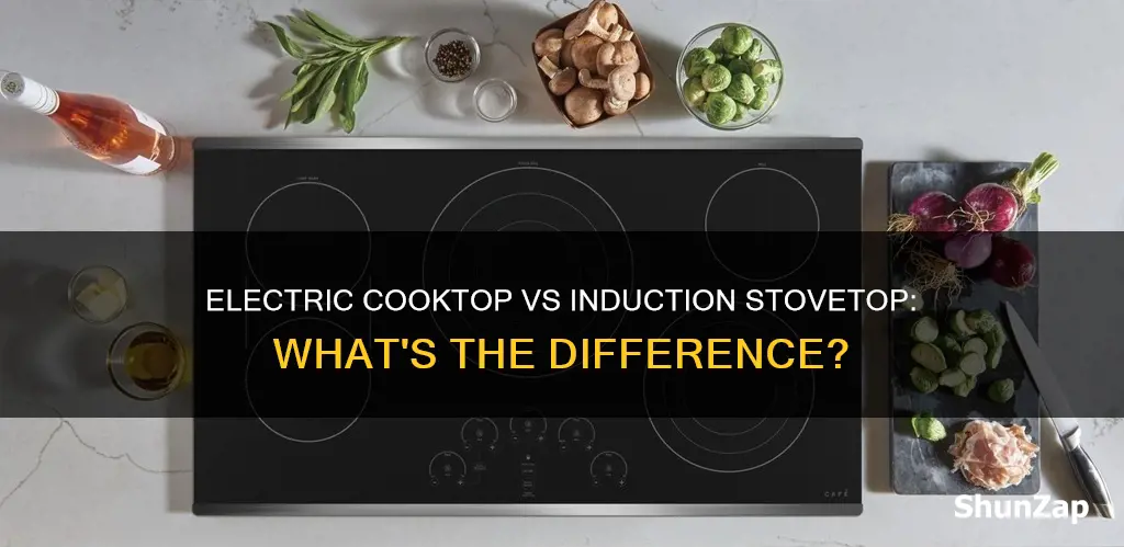 is an electric cooktop an induction stovetop