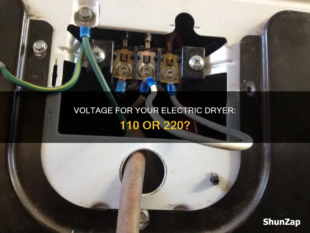 is an electric dryer 110 or 220