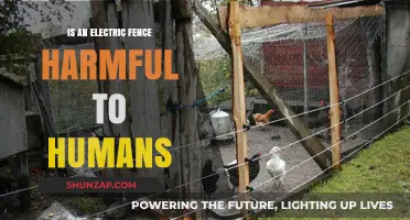 Electric Fences: Are They Safe or Harmful to Humans?