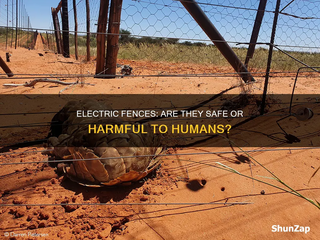 is an electric fence harmful to humans