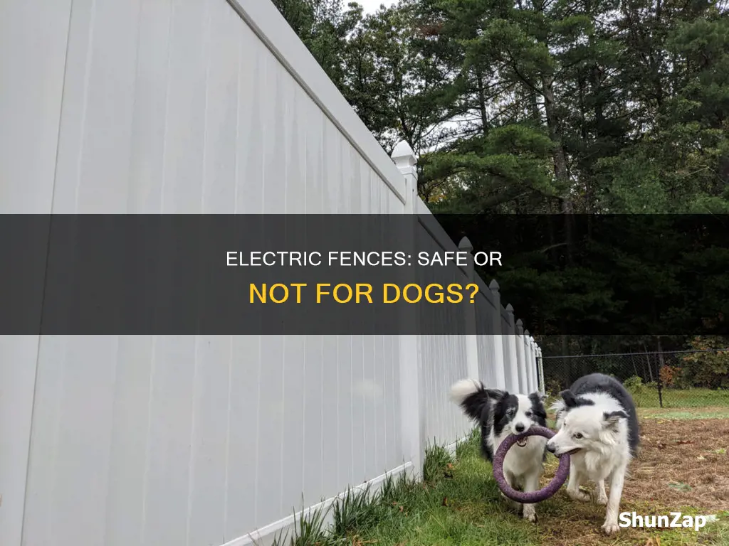 is an electric fence safe for dogs