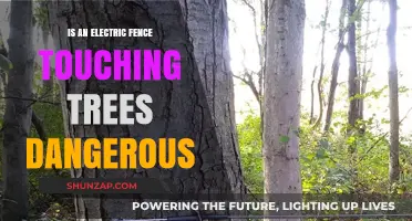 Electric Fences: Tree Touch Dangers Explained