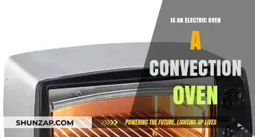 Electric Oven: Convection or Not?