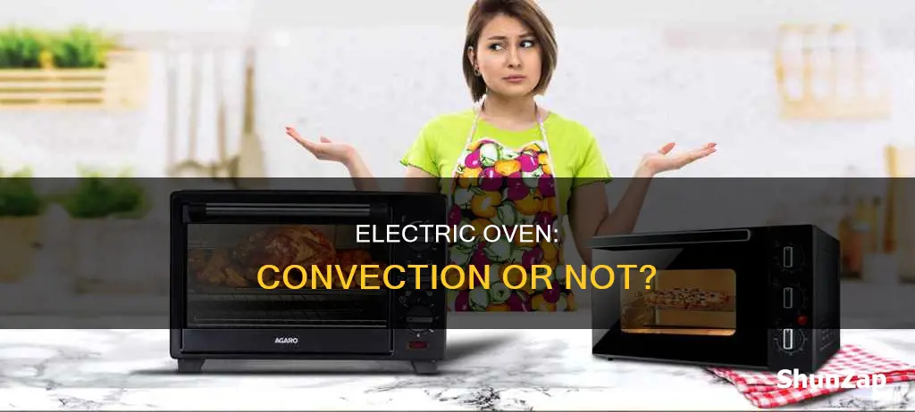 is an electric oven a convection oven