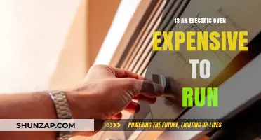 Electric Ovens: Costly to Run?