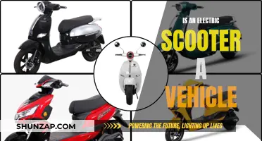 Scooter's Vehicle Status: Electric Scooters Explained