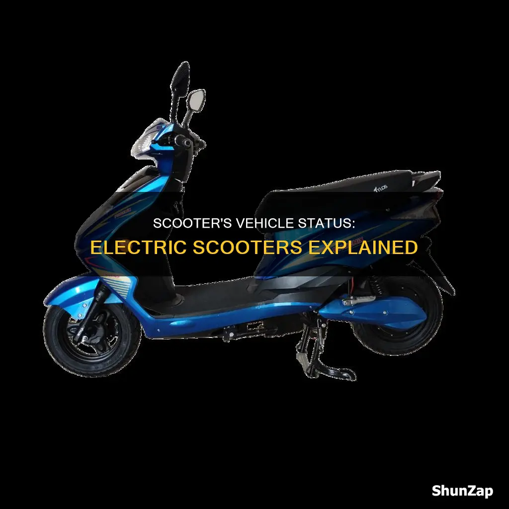 is an electric scooter a vehicle
