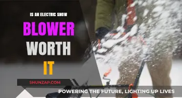 Electric Snow Blowers: Are They Worth the Hype?