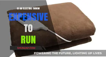 Electric Throw Blankets: Costly Comfort or Affordable Luxury?