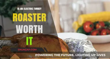 Electric Turkey Roaster: Worth the Investment?