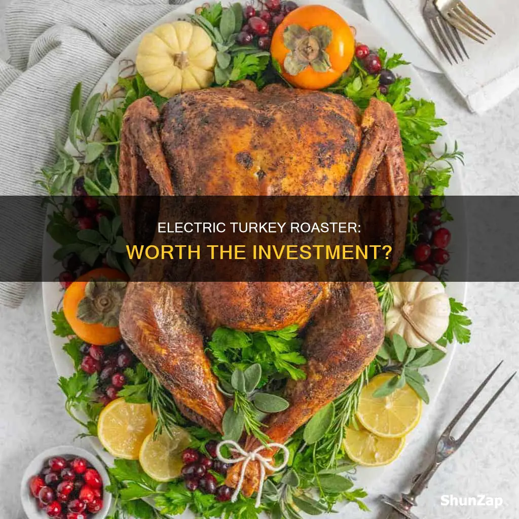 is an electric turkey roaster worth it