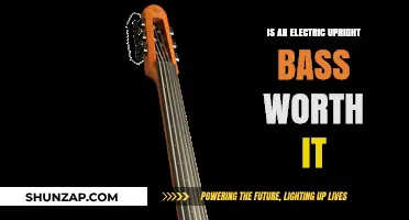 Electric Upright Bass: Worth the Switch?
