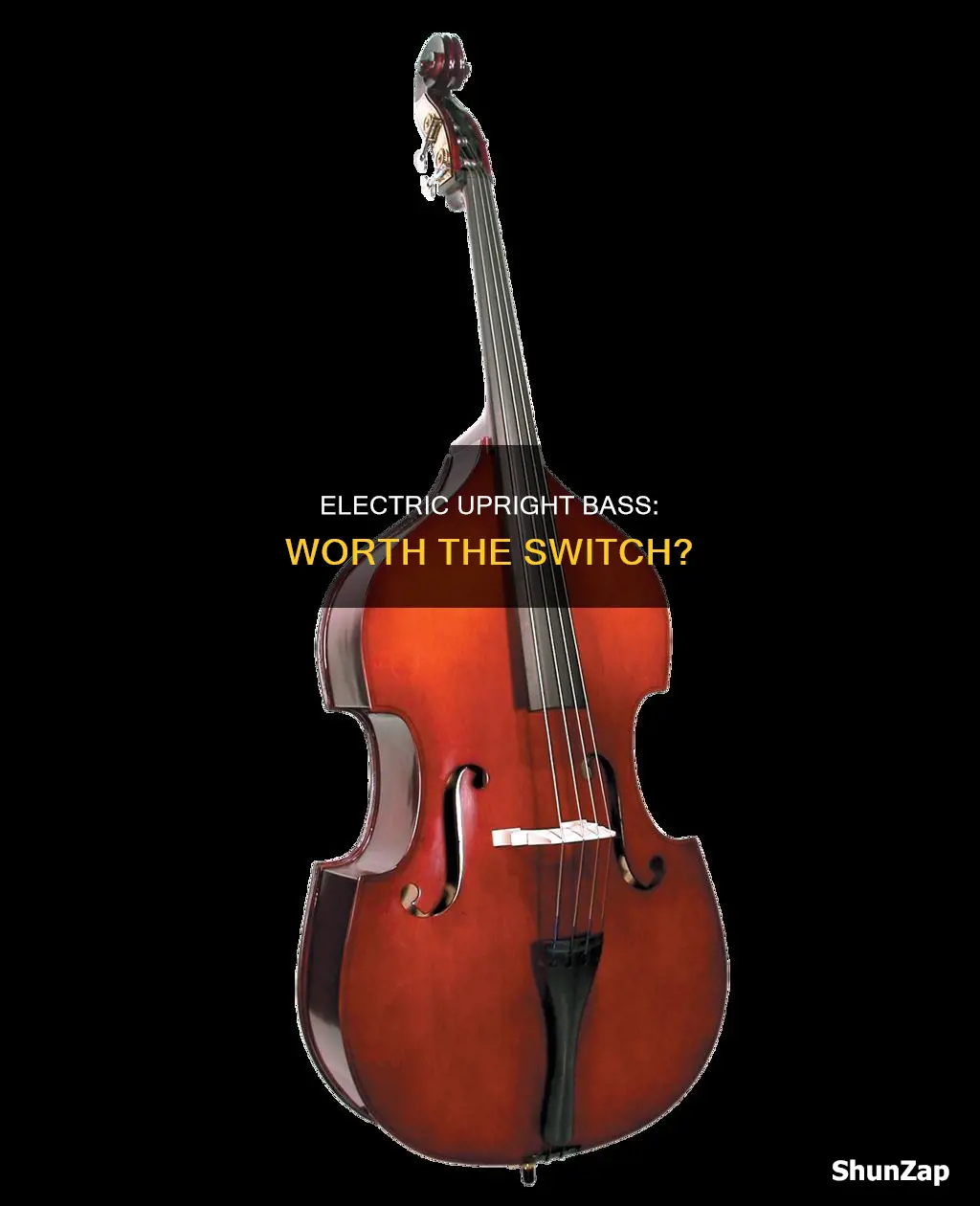is an electric upright bass worth it