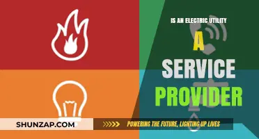 Electric Utilities: Service Providers or Not?