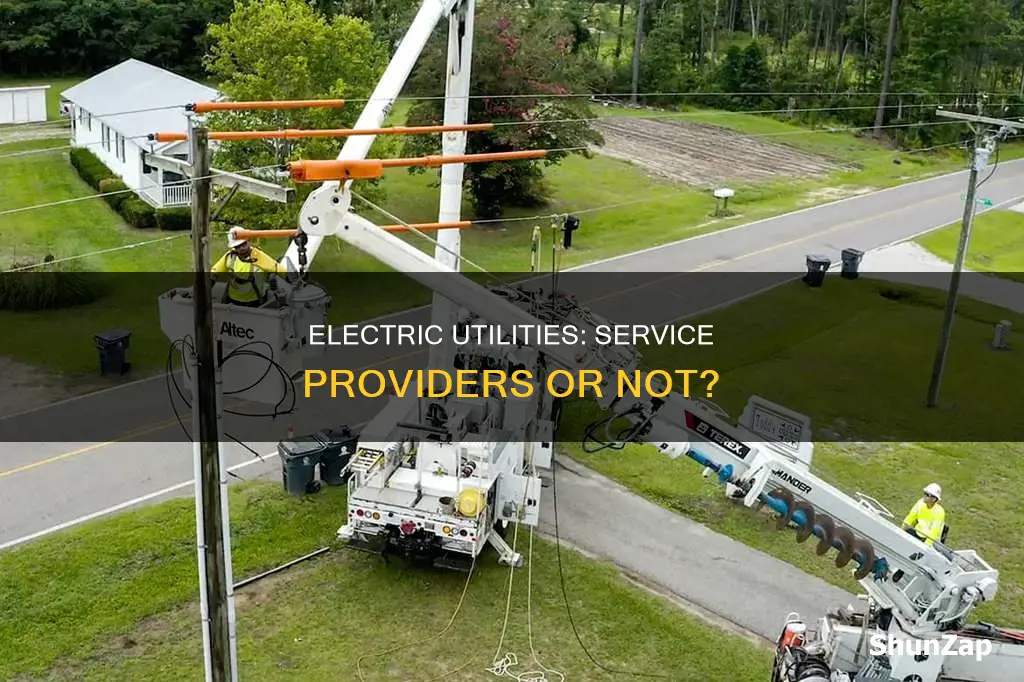 is an electric utility a service provider