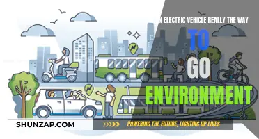 Green Machines: Unveiling the Environmental Impact of Electric Vehicles