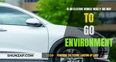 Electric Vehicles: Environmental Savior or Just a Passing Fad?