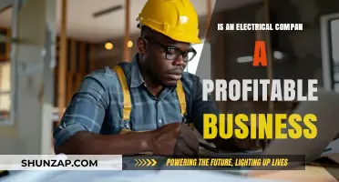 Lucrative Electrical Companies: A Profitable Business?