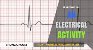 Electrical Activity: A Powerful Example