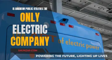 Anaheim Public Utilities: The City's Exclusive Electric Company?