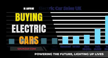 Are Electric Cars Gaining Traction? Exploring the Current Market Trends