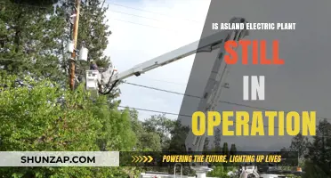 Asland Electric Plant: Still Operational?