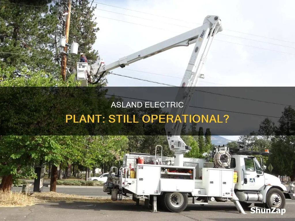 is asland electric plant still in operation