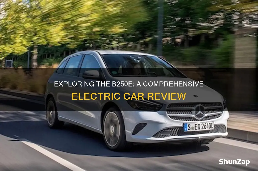 is b250e a good electric car