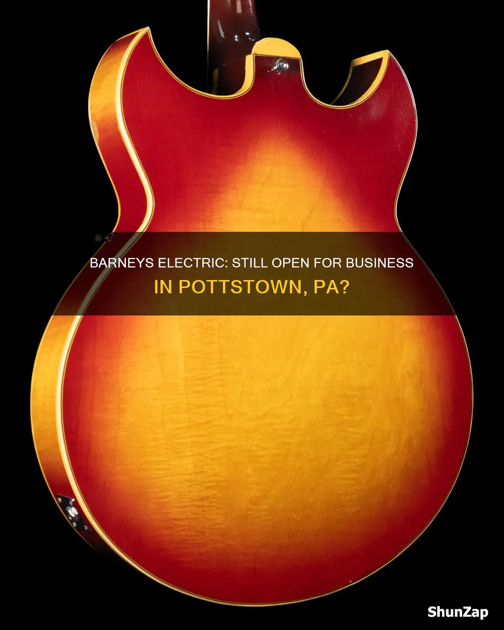 is barneys electric still open pottstown pa